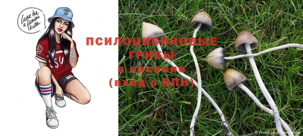 герыч Аркадак