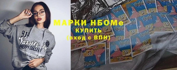 прущие грибы Пересвет