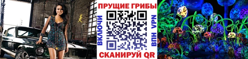 Псилоцибиновые грибы Psilocybine cubensis Белозерск