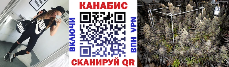 Канабис гибрид  Белозерск 